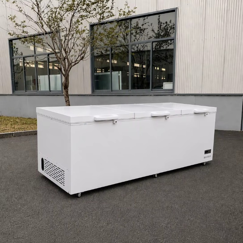 Paslanmaz Çelik Malzemeli Süpe - Commercial Chest Freezer incelemesi ve fiyatı